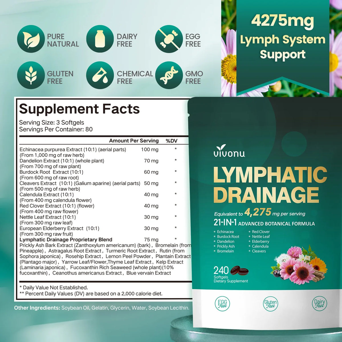 Vitalia Lymphatic Drainage